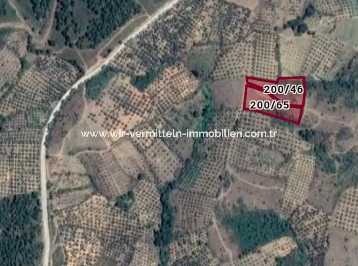 Kaz-Gebirge 9068 M2 Ökotourismus-Gebiet