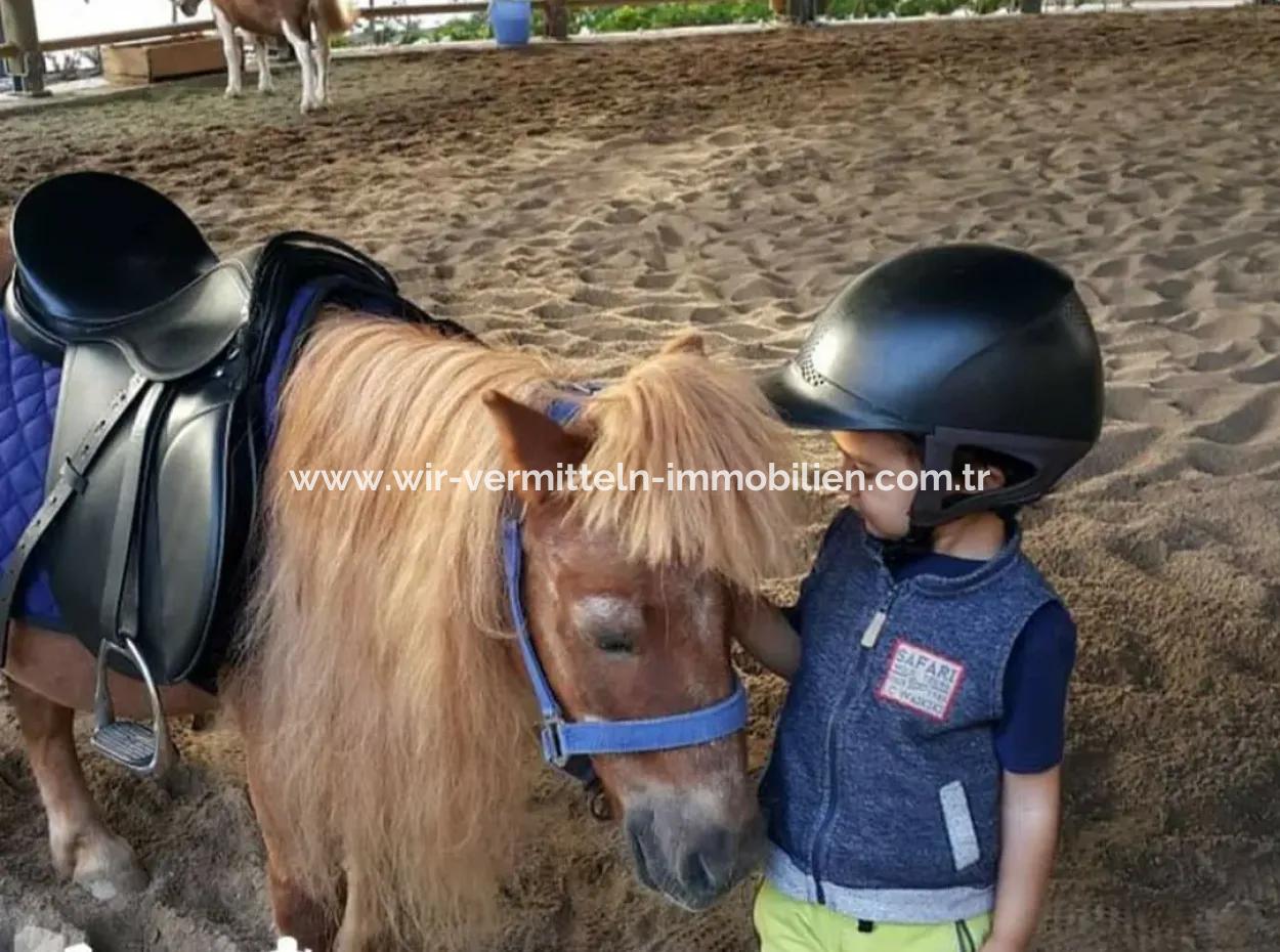 Traumhafte 2+1 Maisonette-Wohnung Mit Luxusausstattung In Gölbaşı / Ankara /Türkei