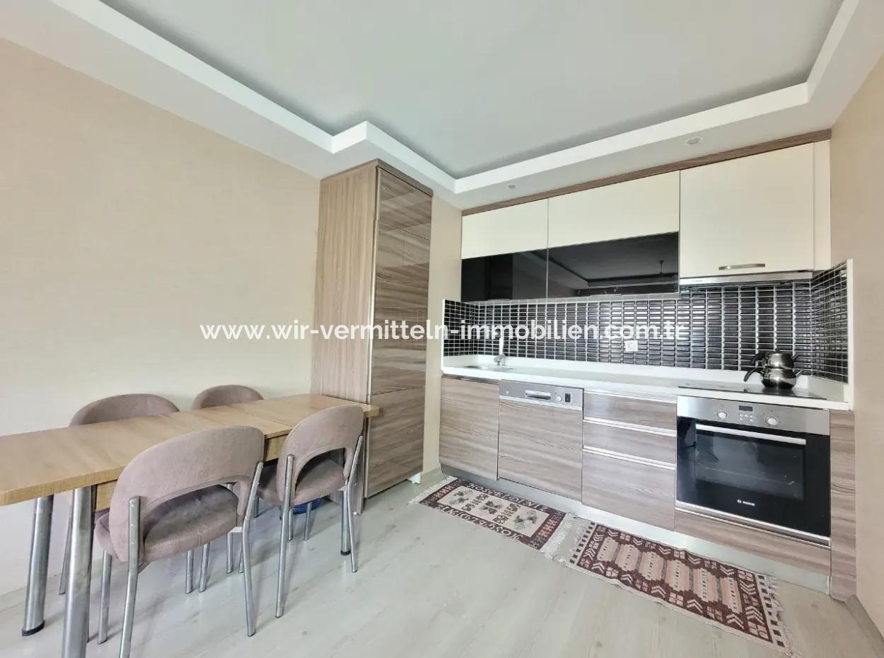 Empty İncek Single Building Venus Residence Furnished For Rent 1+1 Flat Office Kızılcaşar Gölbaşı Ankara
