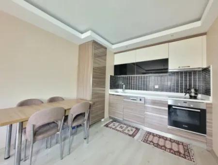Empty İncek Single Building Venus Residence Furnished For Rent 1+1 Flat Office Kızılcaşar Gölbaşı Ankara
