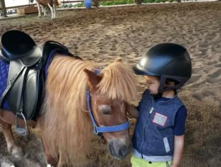 İncek Loft Satılık 3+1 110 M²  Peyzaj Manzaralı Daire