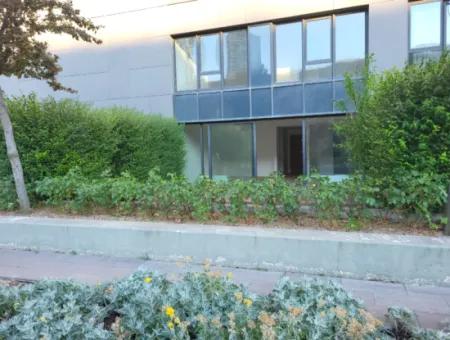 Kiracısız İncek Loft Satılık  2+1 Bahçe Dubleks Şehir Manzaralı Daire